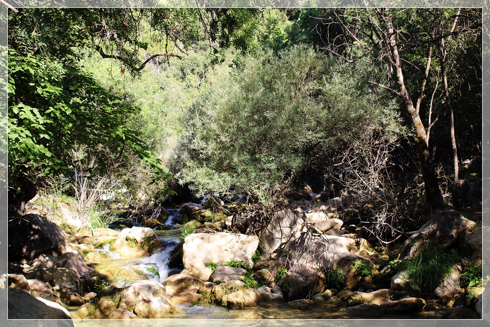 Bachlauf des Guadalquivir